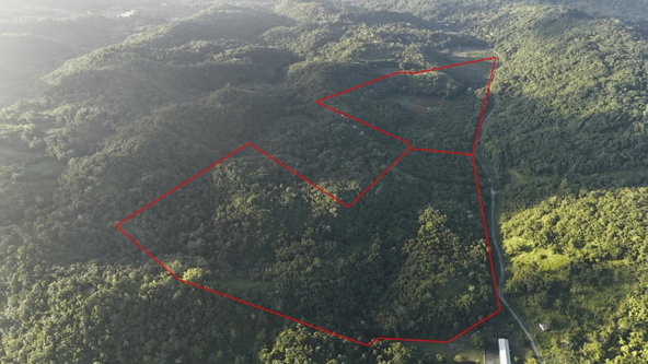 Second image of Broadleaf St. Mary in Labyrinth, St. Mary, Jamaica - property is For Sale