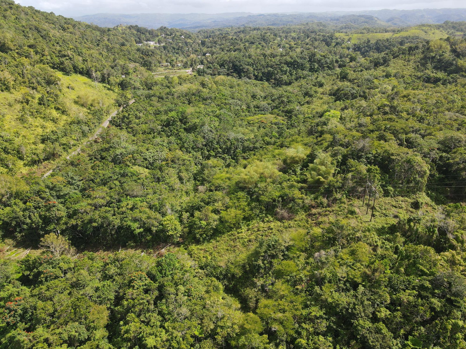 Third image of Broadleaf St. Mary in Labyrinth, St. Mary, Jamaica - property is For Sale