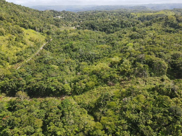 Third image of Broadleaf St. Mary in Labyrinth, St. Mary, Jamaica - property is For Sale