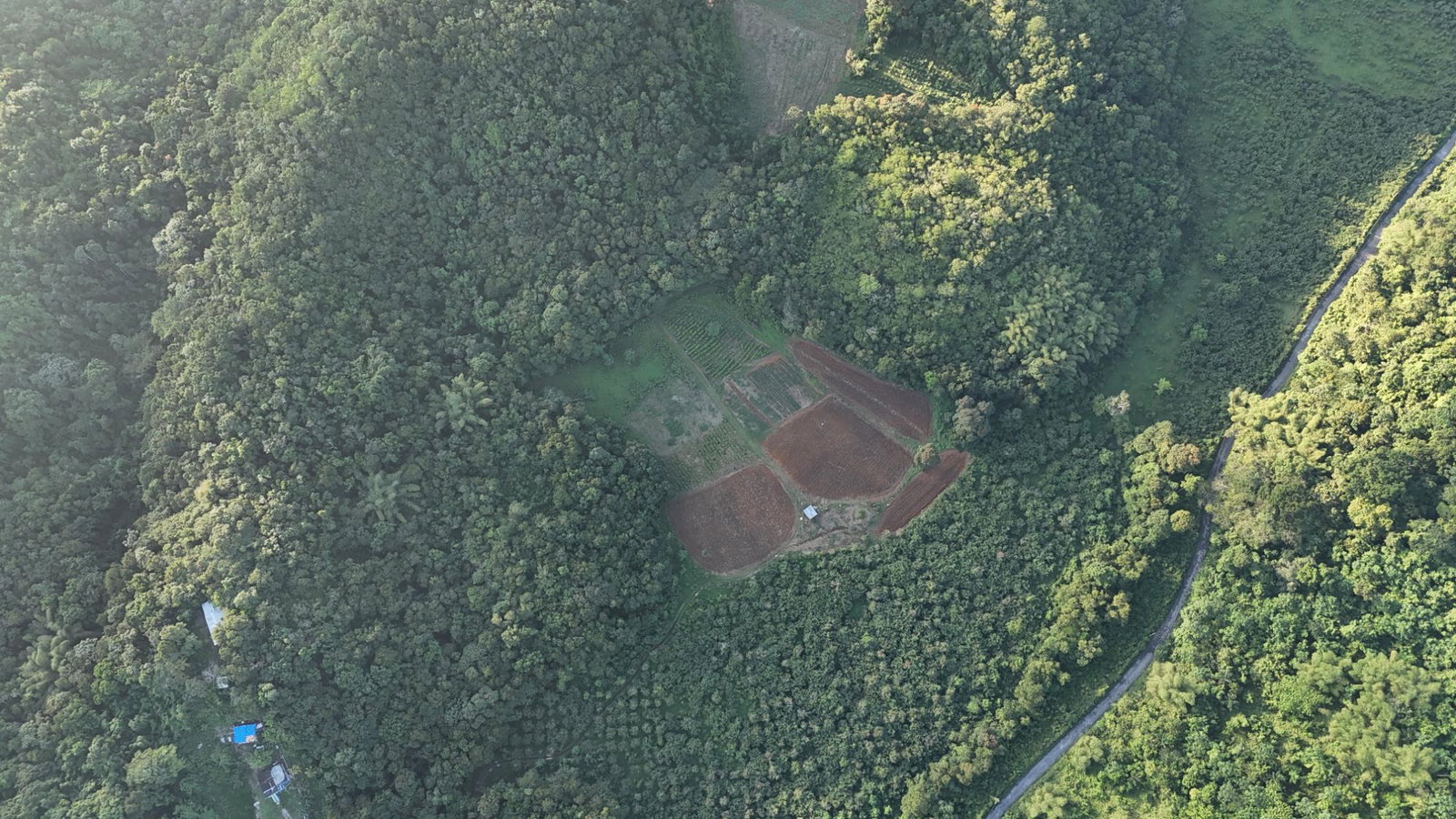 Fifth image of Broadleaf St. Mary in Labyrinth, St. Mary, Jamaica - property is For Sale
