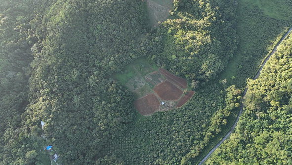 Fifth image of Broadleaf St. Mary in Labyrinth, St. Mary, Jamaica - property is For Sale