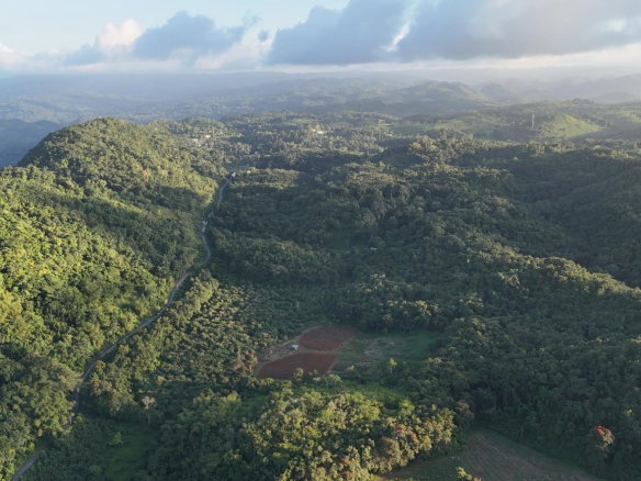 First image of Broadleaf St. Mary in Labyrinth, St. Mary, Jamaica - property is For Sale