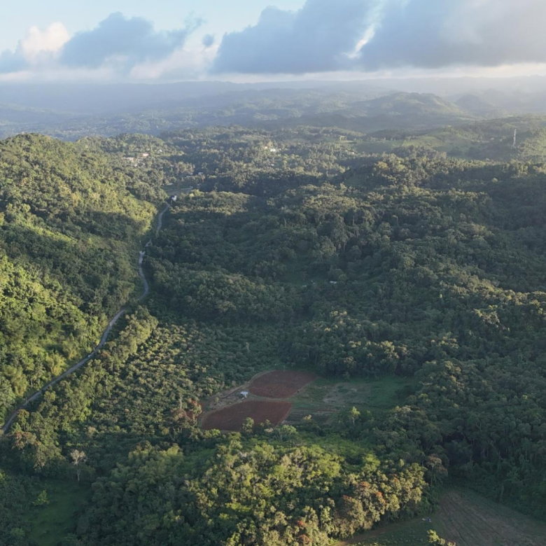 First image of Broadleaf St. Mary in Labyrinth, St. Mary, Jamaica - property is For Sale