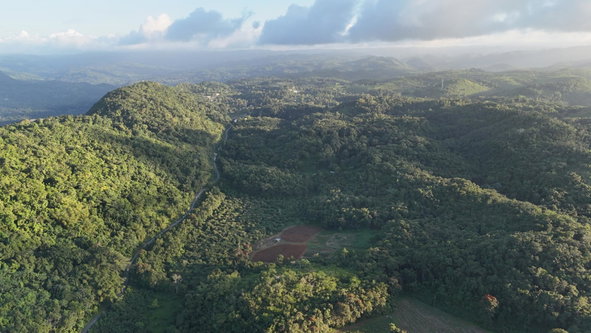 First image of Broadleaf St. Mary in Labyrinth, St. Mary, Jamaica - property is For Sale