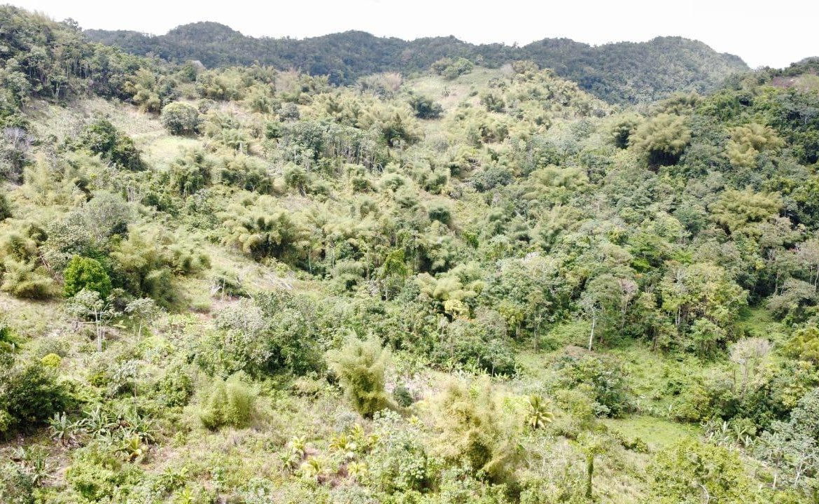 Second image of Silver Grove in Flagstaff, St. James, Jamaica - property is For Sale