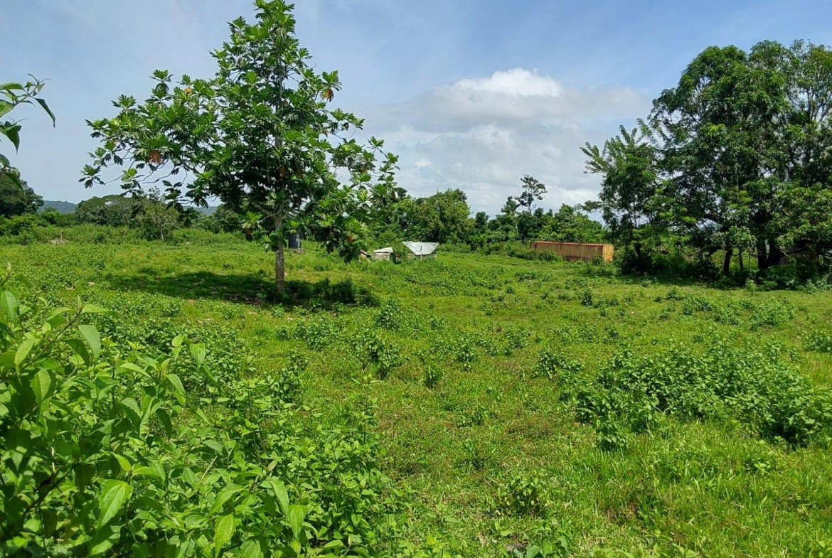 Second image of Lot 19 Burnt Ground, Ramble, Han in Ramble, Hanover, Jamaica - property is For Sale