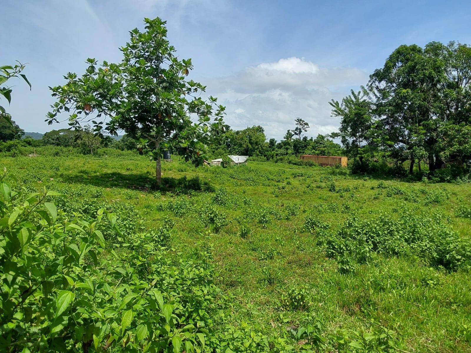 Second image of Lot 19 Burnt Ground, Ramble, Han in Ramble, Hanover, Jamaica - property is For Sale