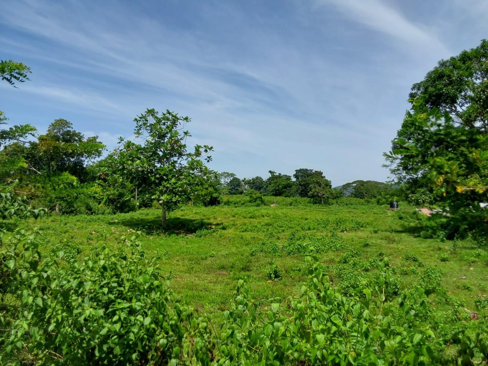 Eleventh image of Lot 19 Burnt Ground, Ramble, Han in Ramble, Hanover, Jamaica - property is For Sale