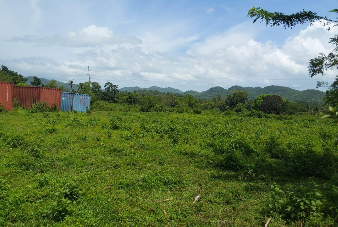Twelfth image of Lot 19 Burnt Ground, Ramble, Han in Ramble, Hanover, Jamaica - property is For Sale