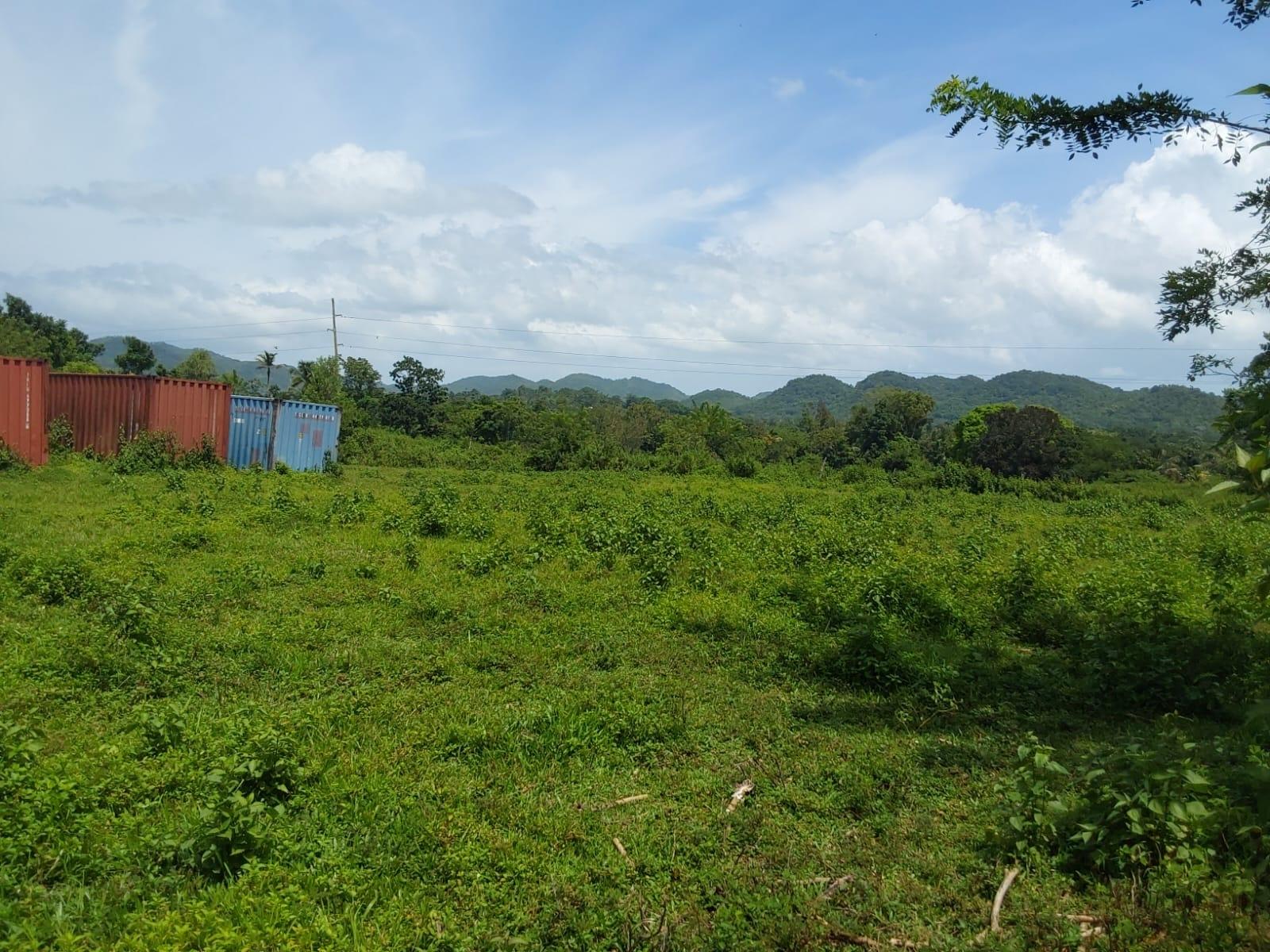 Twelfth image of Lot 19 Burnt Ground, Ramble, Han in Ramble, Hanover, Jamaica - property is For Sale