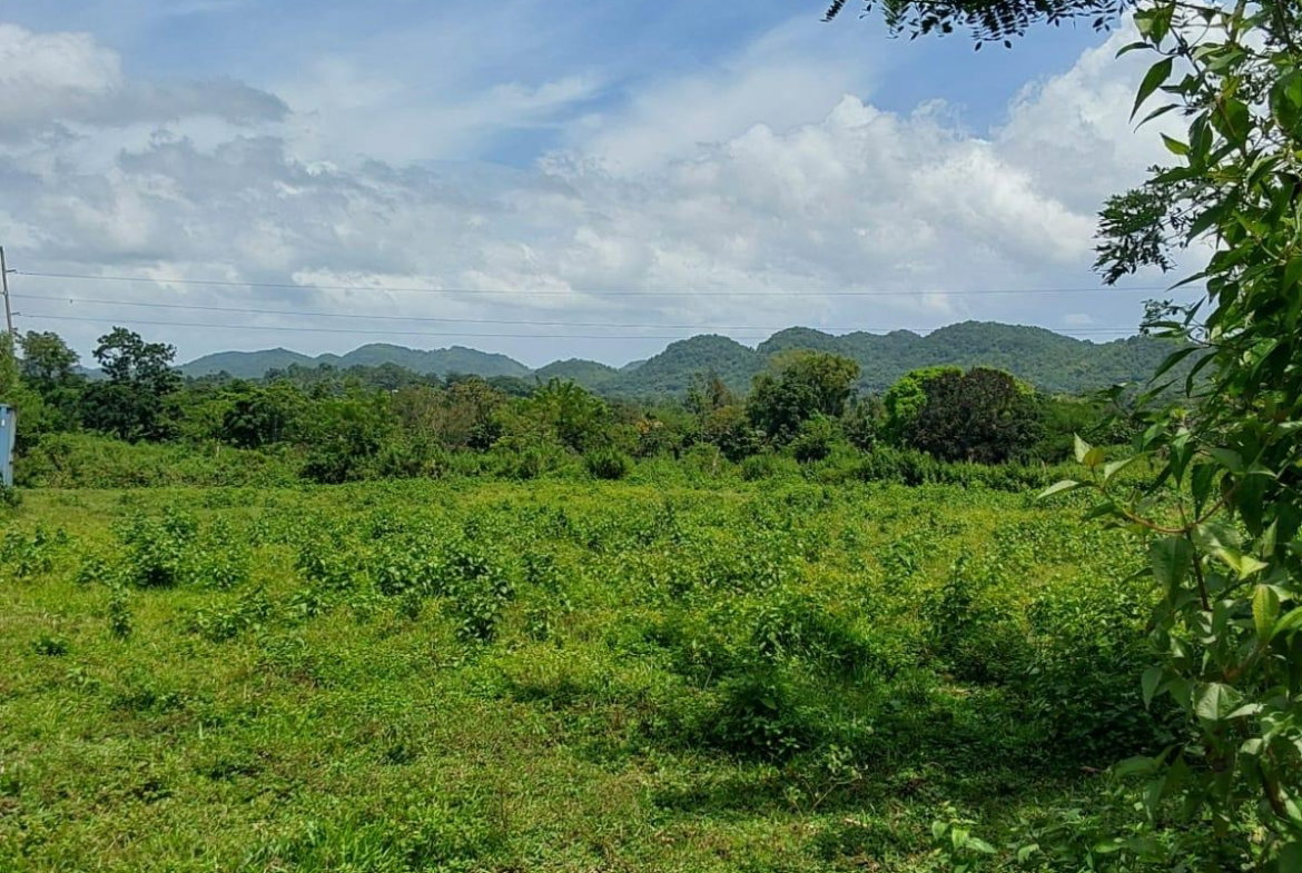 First image of Lot 19 Burnt Ground, Ramble, Han in Ramble, Hanover, Jamaica - property is For Sale