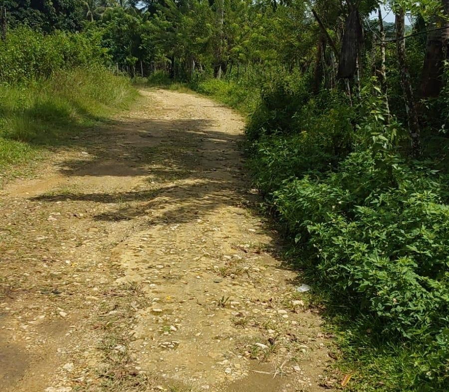 Fourteenth image of Lot 19 Burnt Ground, Ramble, Han in Ramble, Hanover, Jamaica - property is For Sale