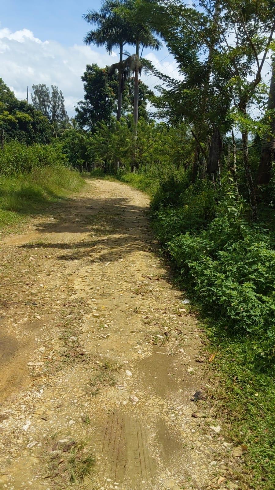 Fourteenth image of Lot 19 Burnt Ground, Ramble, Han in Ramble, Hanover, Jamaica - property is For Sale