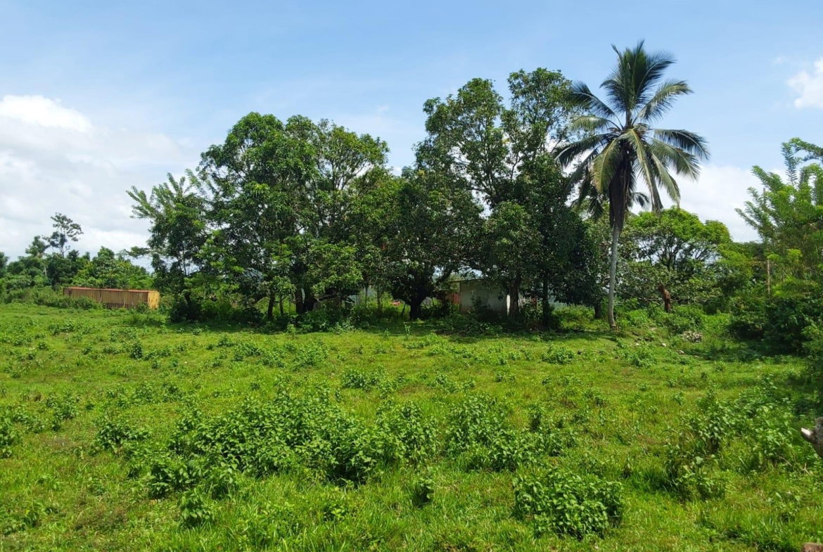 Third image of Lot 19 Burnt Ground, Ramble, Han in Ramble, Hanover, Jamaica - property is For Sale