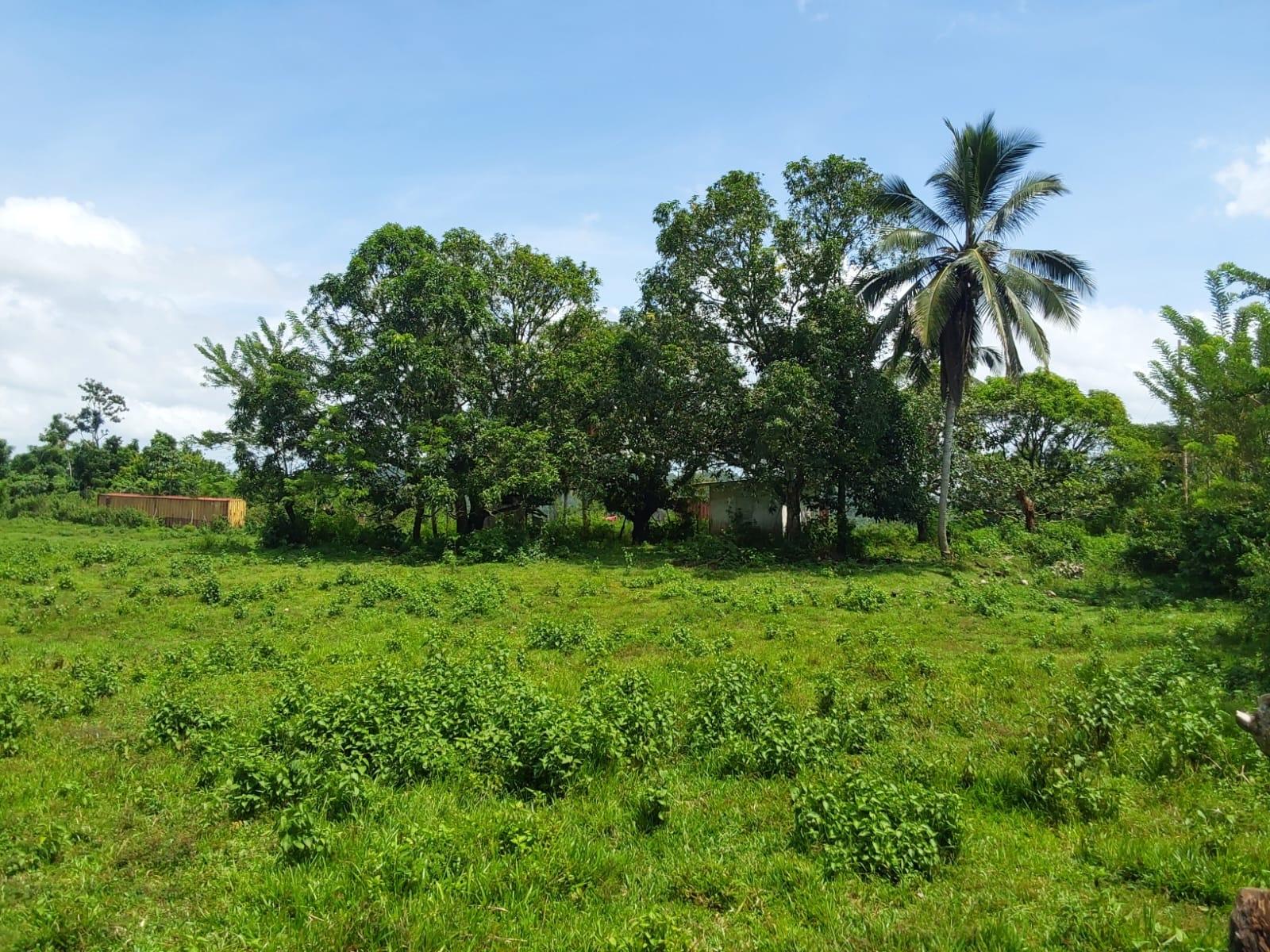 Third image of Lot 19 Burnt Ground, Ramble, Han in Ramble, Hanover, Jamaica - property is For Sale