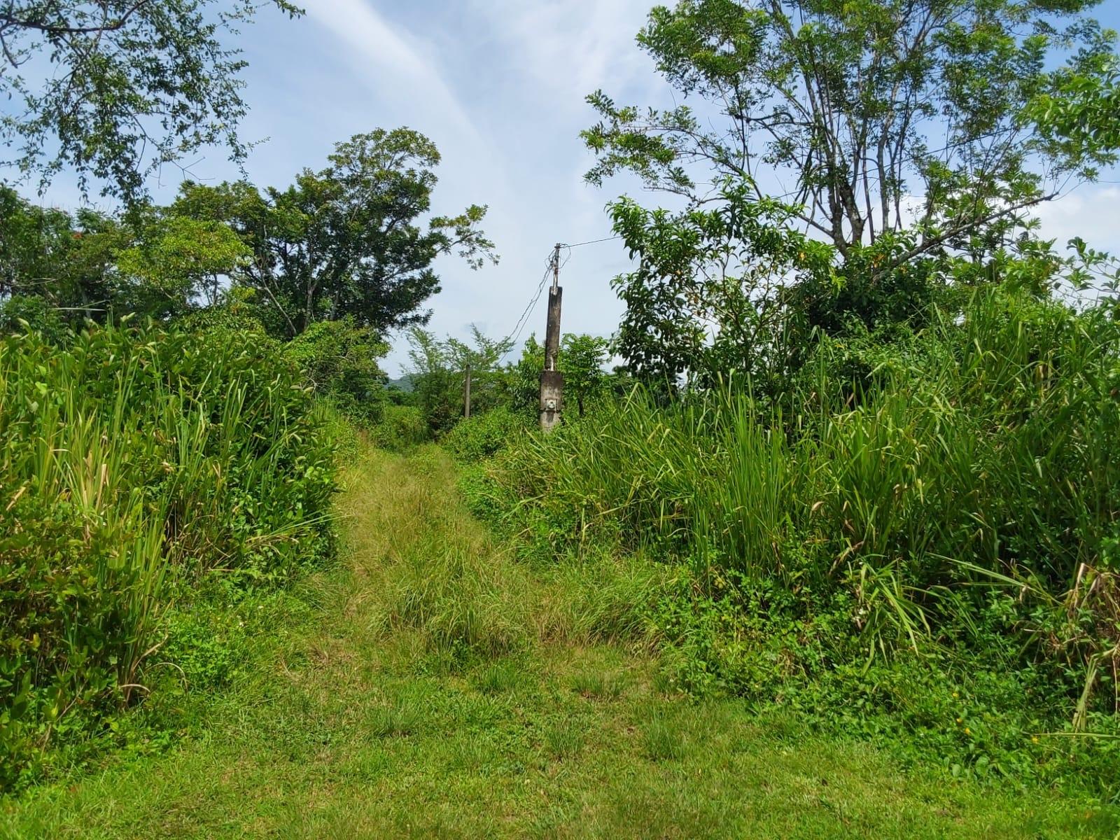Fourth image of Lot 19 Burnt Ground, Ramble, Han in Ramble, Hanover, Jamaica - property is For Sale