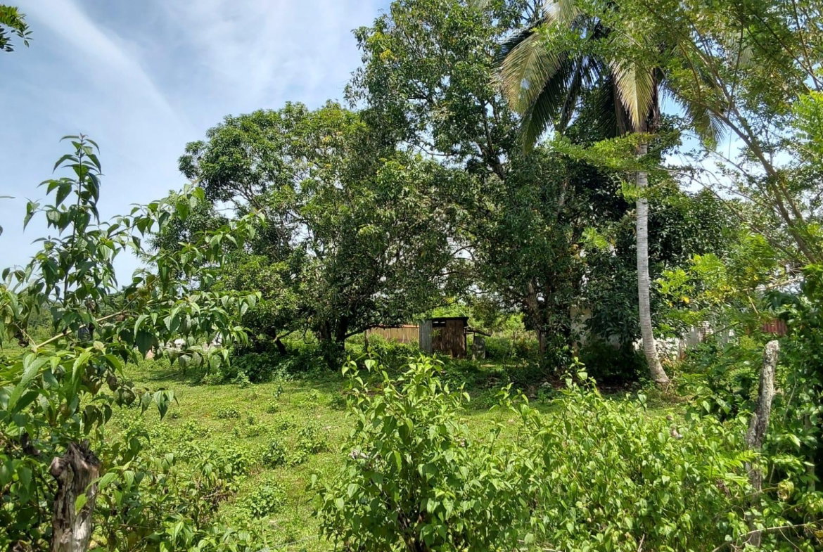 Fifth image of Lot 19 Burnt Ground, Ramble, Han in Ramble, Hanover, Jamaica - property is For Sale