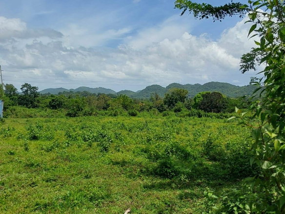 First image of Lot 19 Burnt Ground, Ramble, Han in Ramble, Hanover, Jamaica - property is For Sale