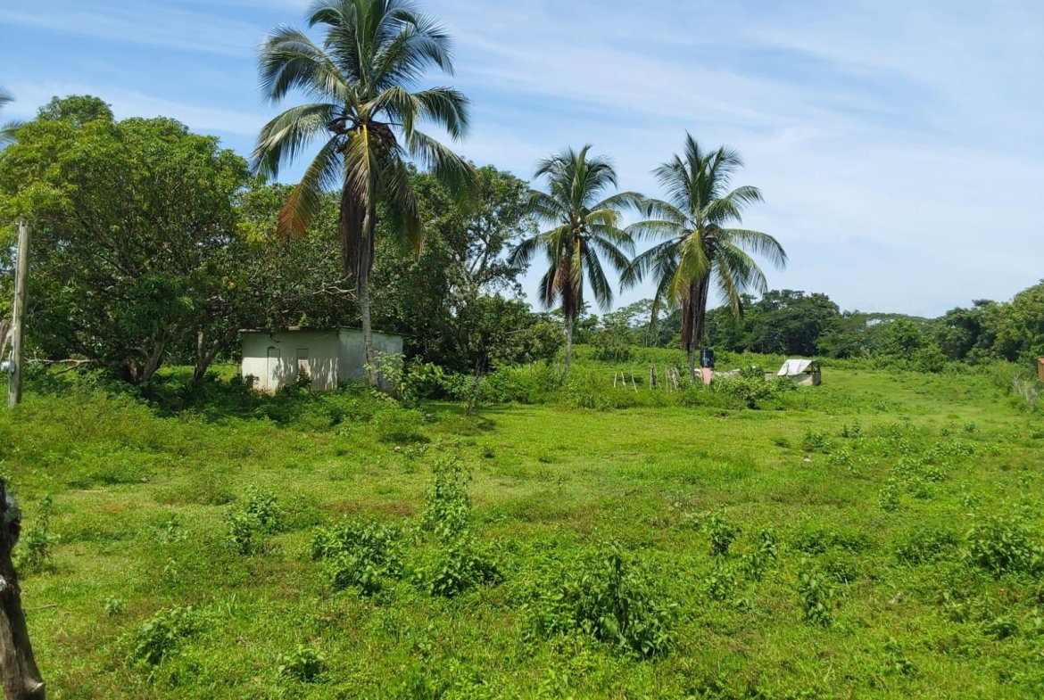 Seventh image of Lot 19 Burnt Ground, Ramble, Han in Ramble, Hanover, Jamaica - property is For Sale