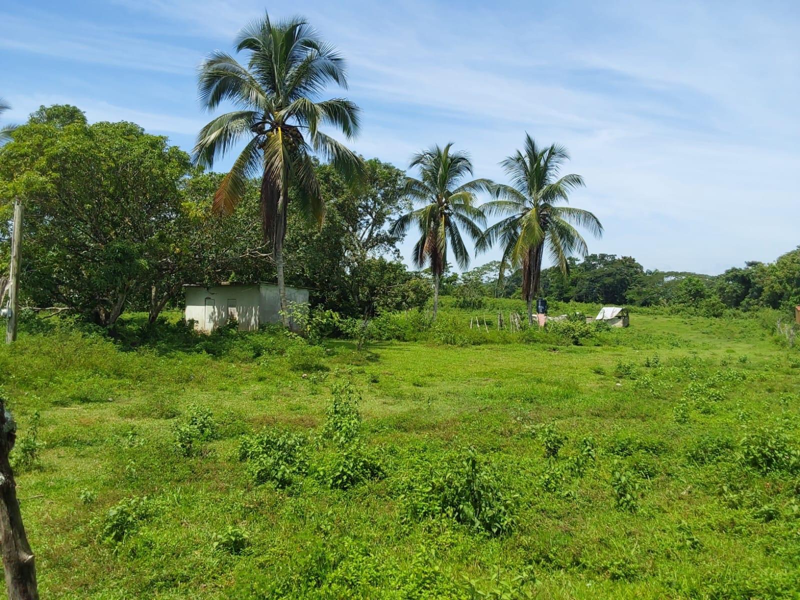 Seventh image of Lot 19 Burnt Ground, Ramble, Han in Ramble, Hanover, Jamaica - property is For Sale