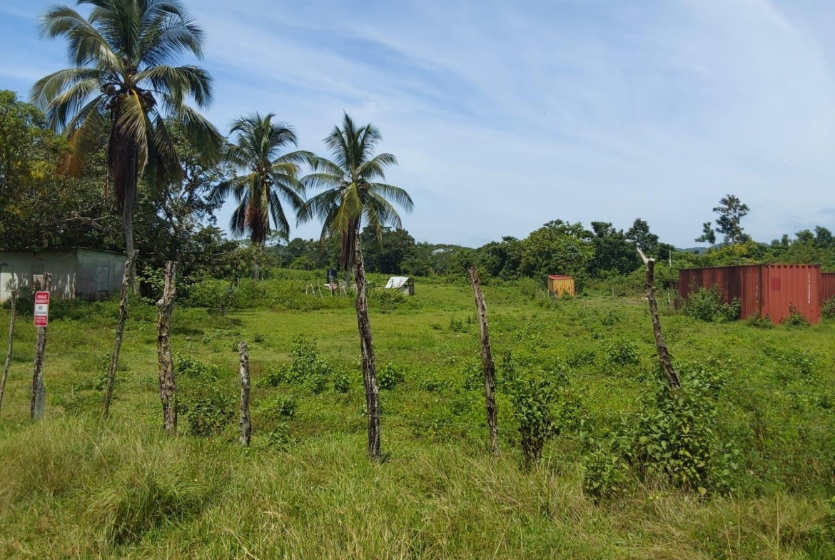 Eighth image of Lot 19 Burnt Ground, Ramble, Han in Ramble, Hanover, Jamaica - property is For Sale