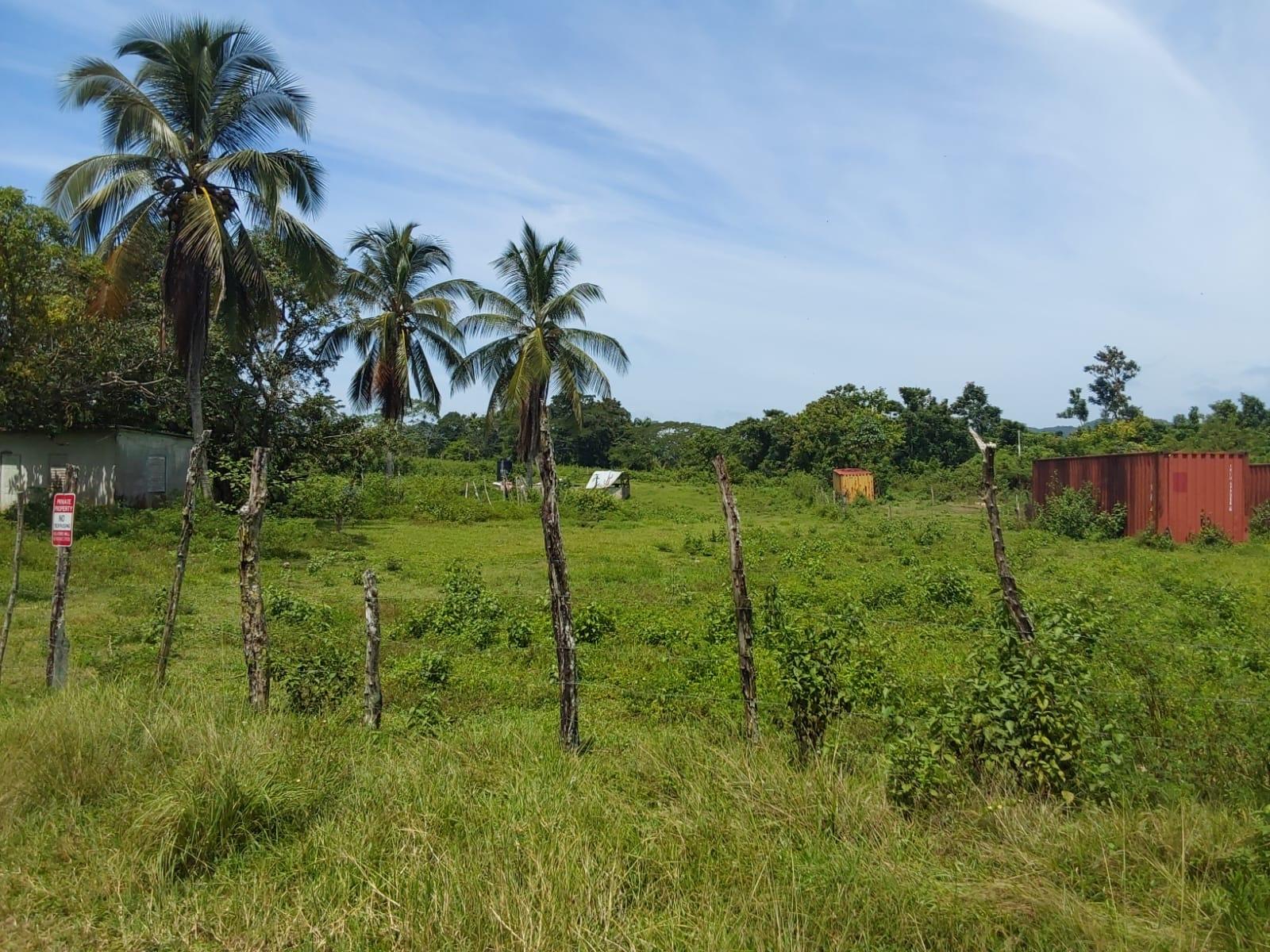 Eighth image of Lot 19 Burnt Ground, Ramble, Han in Ramble, Hanover, Jamaica - property is For Sale