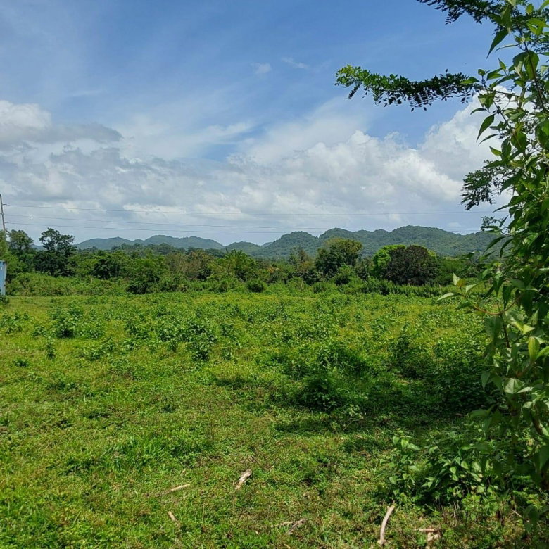 First image of Lot 19 Burnt Ground, Ramble, Han in Ramble, Hanover, Jamaica - property is For Sale