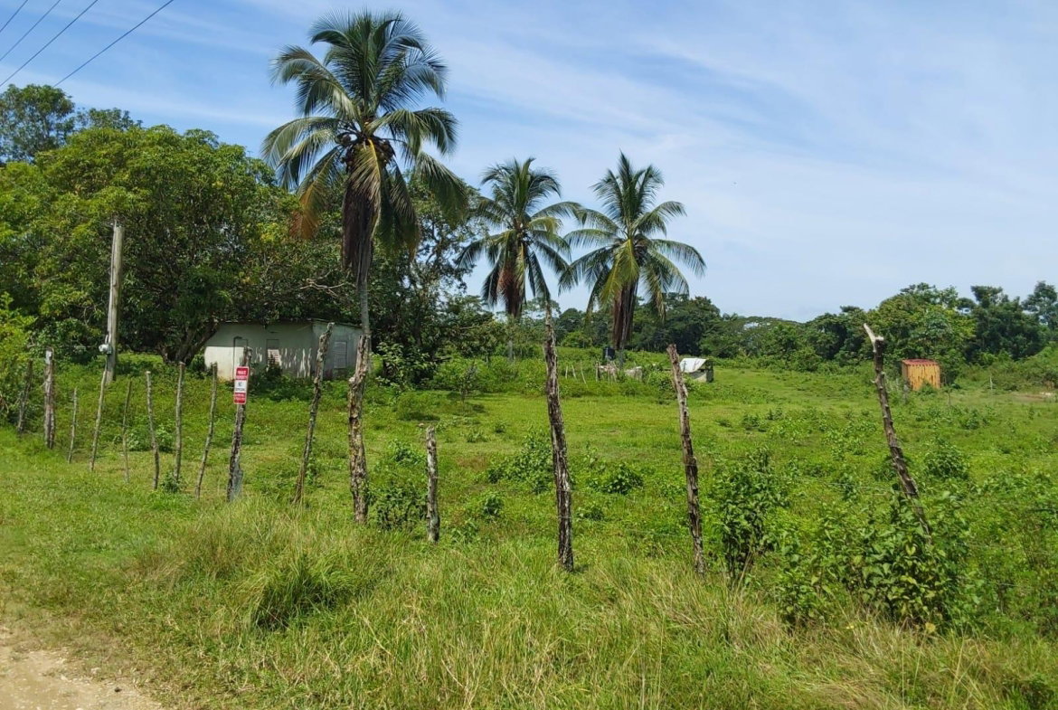 Ninth image of Lot 19 Burnt Ground, Ramble, Han in Ramble, Hanover, Jamaica - property is For Sale