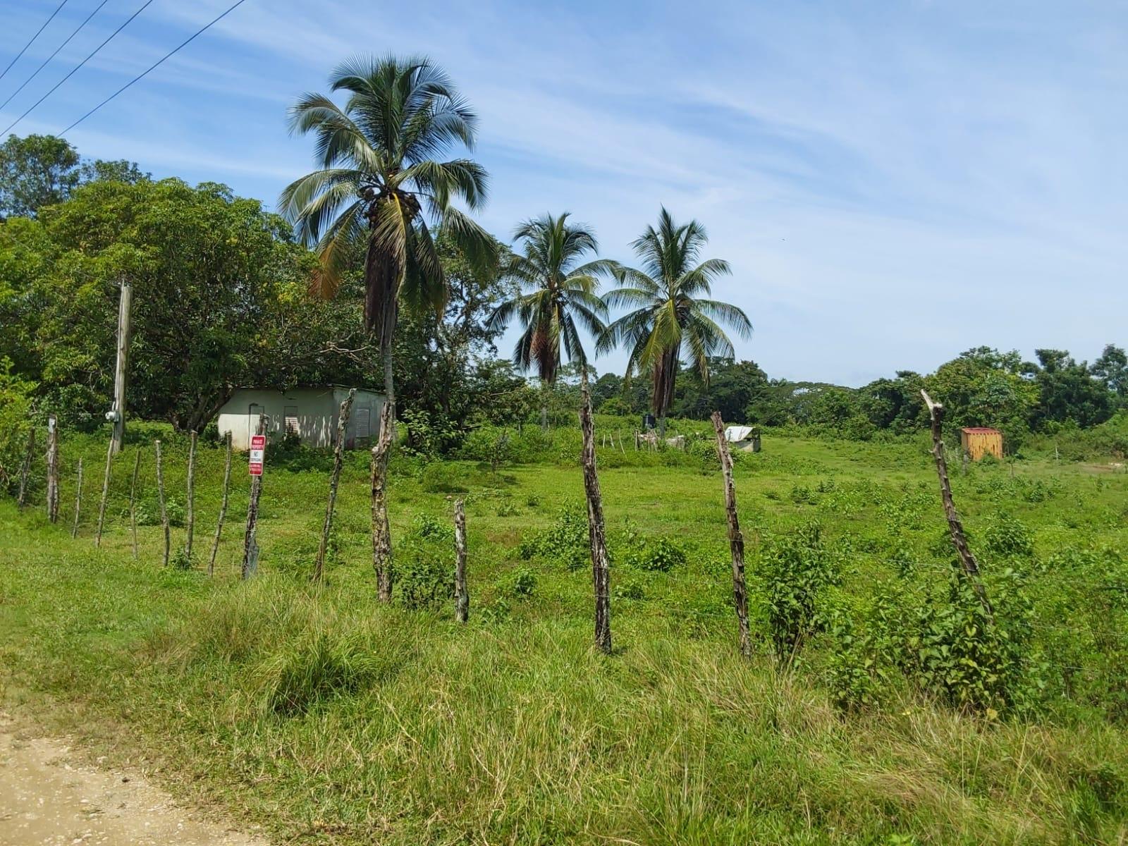 Ninth image of Lot 19 Burnt Ground, Ramble, Han in Ramble, Hanover, Jamaica - property is For Sale