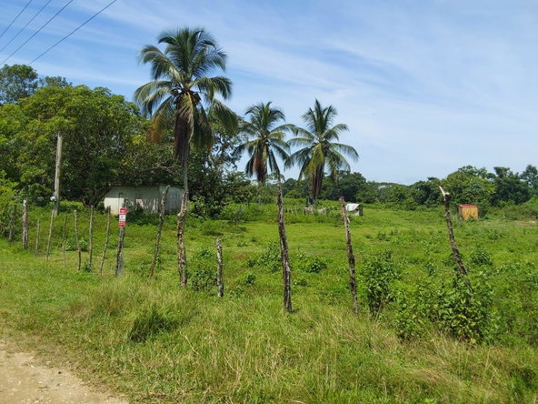 Ninth image of Lot 19 Burnt Ground, Ramble, Han in Ramble, Hanover, Jamaica - property is For Sale