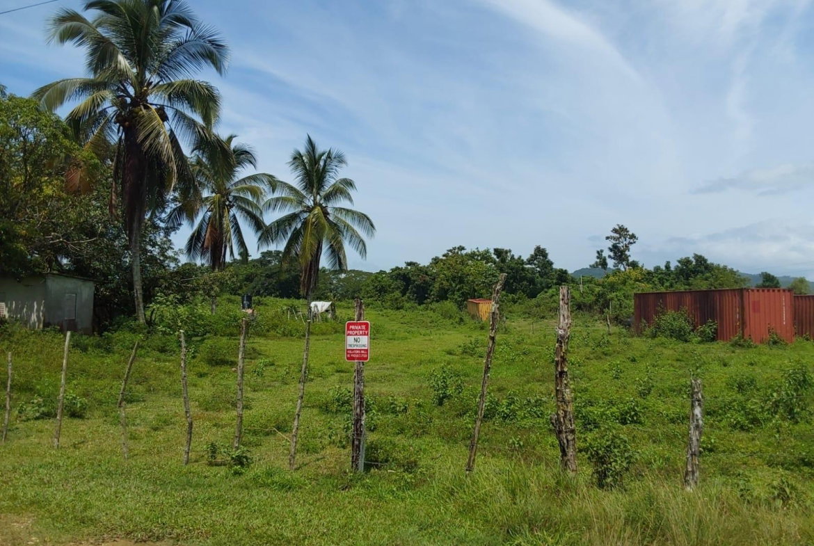 Tenth image of Lot 19 Burnt Ground, Ramble, Han in Ramble, Hanover, Jamaica - property is For Sale