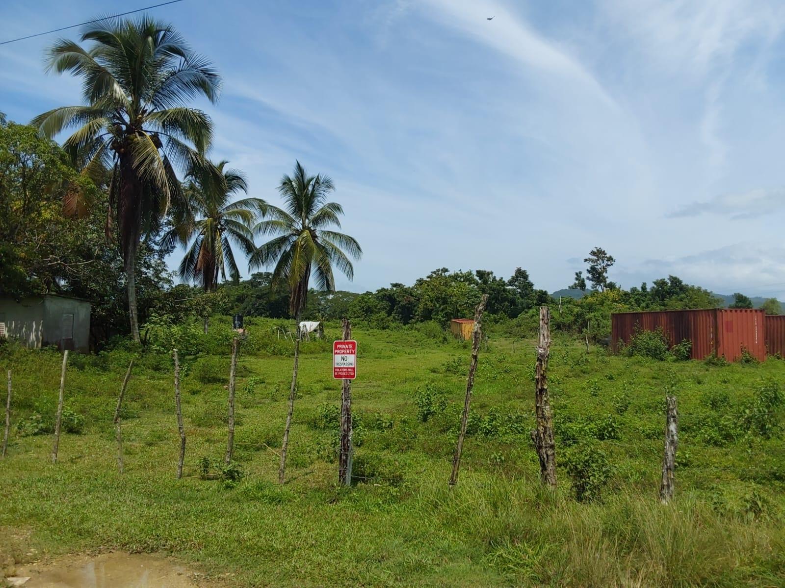 Tenth image of Lot 19 Burnt Ground, Ramble, Han in Ramble, Hanover, Jamaica - property is For Sale