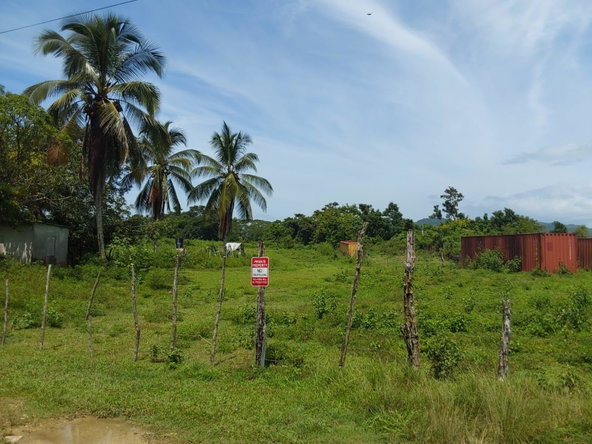 Tenth image of Lot 19 Burnt Ground, Ramble, Han in Ramble, Hanover, Jamaica - property is For Sale