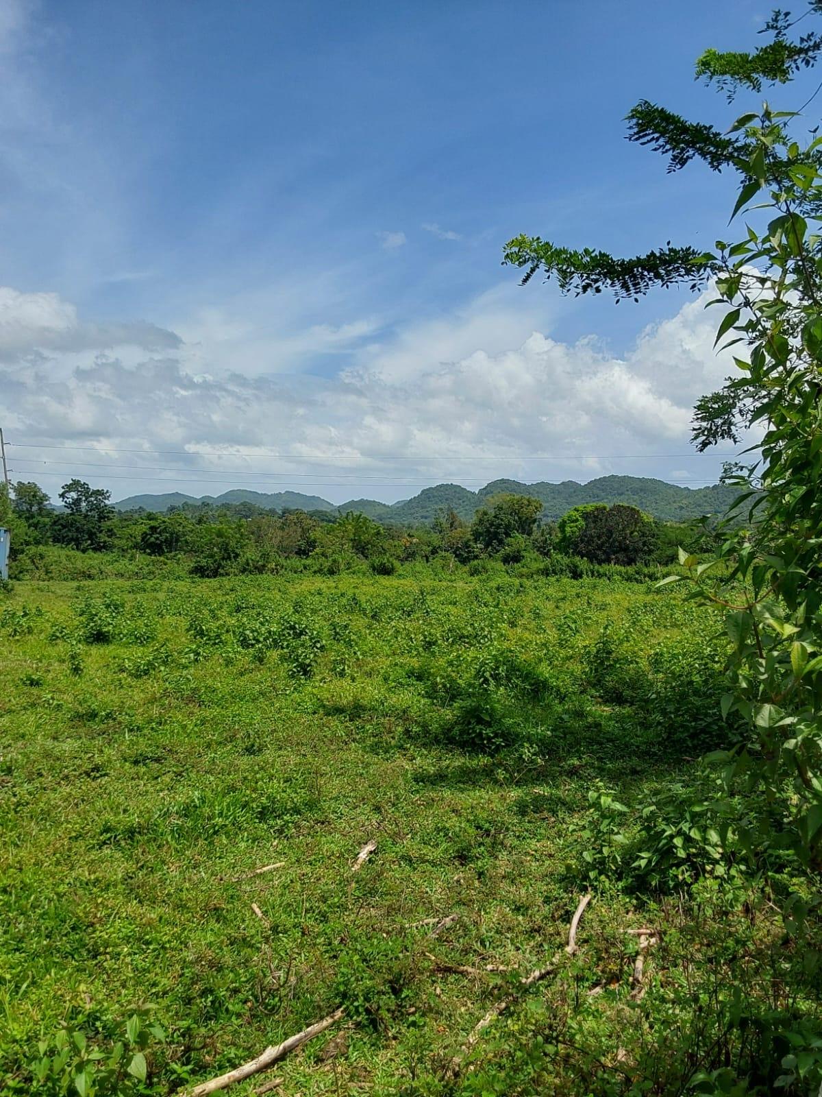First image of Lot 19 Burnt Ground, Ramble, Han in Ramble, Hanover, Jamaica - property is For Sale