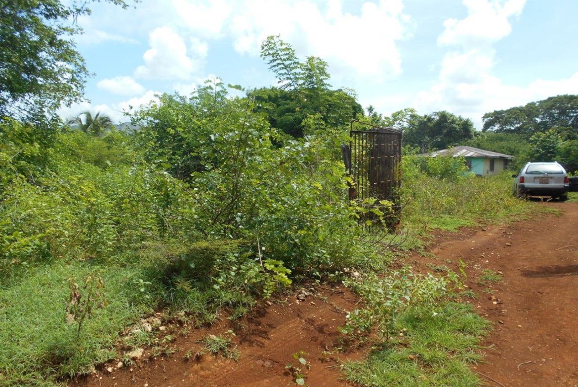 Eleventh image of Denbigh in Denbigh, Clarendon, Jamaica - property is For Sale