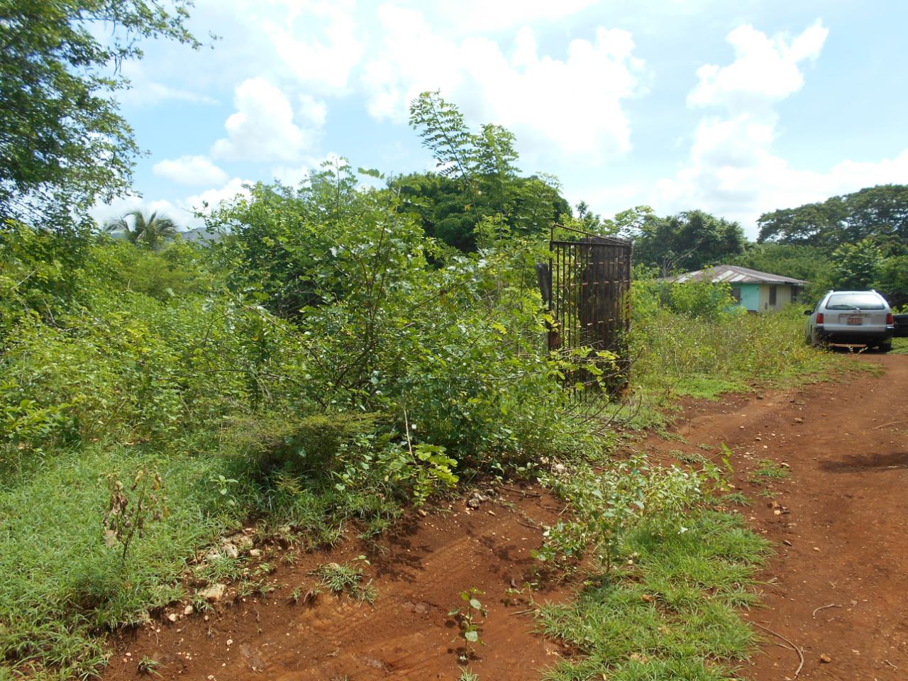 94-Acres-Development-Land-for-Sale-in-Denbigh-Clarendon-Jamaica Eleventh image of Denbigh in Denbigh, Clarendon, Jamaica - property is For Sale