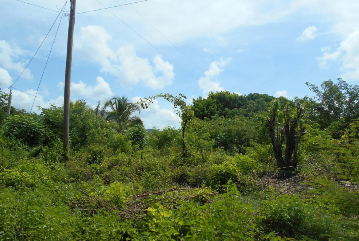 Twelfth image of Denbigh in Denbigh, Clarendon, Jamaica - property is For Sale