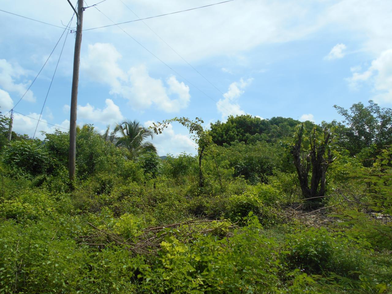 94-Acres-Development-Land-for-Sale-in-Denbigh-Clarendon-Jamaica Twelfth image of Denbigh in Denbigh, Clarendon, Jamaica - property is For Sale
