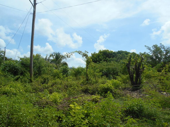 Twelfth image of Denbigh in Denbigh, Clarendon, Jamaica - property is For Sale
