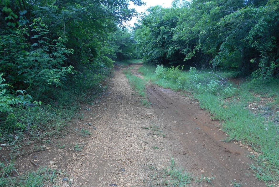 Thirteenth image of Denbigh in Denbigh, Clarendon, Jamaica - property is For Sale