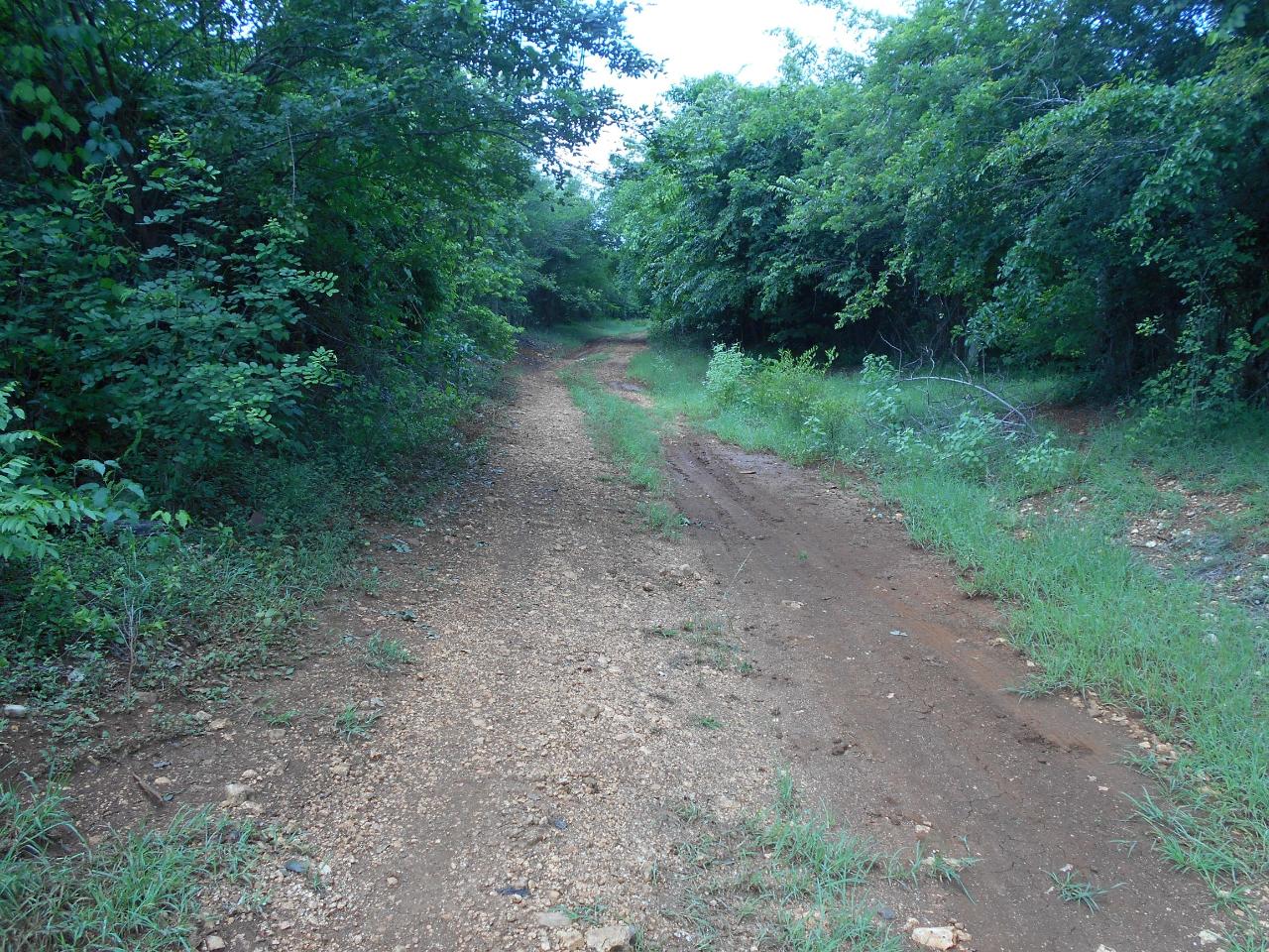 94-Acres-Development-Land-for-Sale-in-Denbigh-Clarendon-Jamaica Thirteenth image of Denbigh in Denbigh, Clarendon, Jamaica - property is For Sale