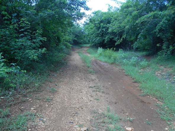 Thirteenth image of Denbigh in Denbigh, Clarendon, Jamaica - property is For Sale