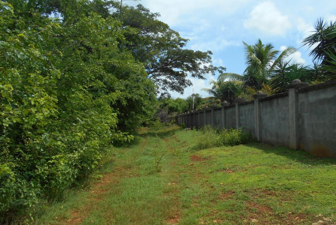 Fourteenth image of Denbigh in Denbigh, Clarendon, Jamaica - property is For Sale