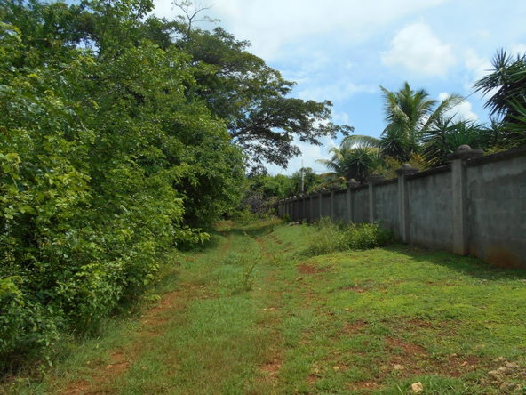 Fourteenth image of Denbigh in Denbigh, Clarendon, Jamaica - property is For Sale