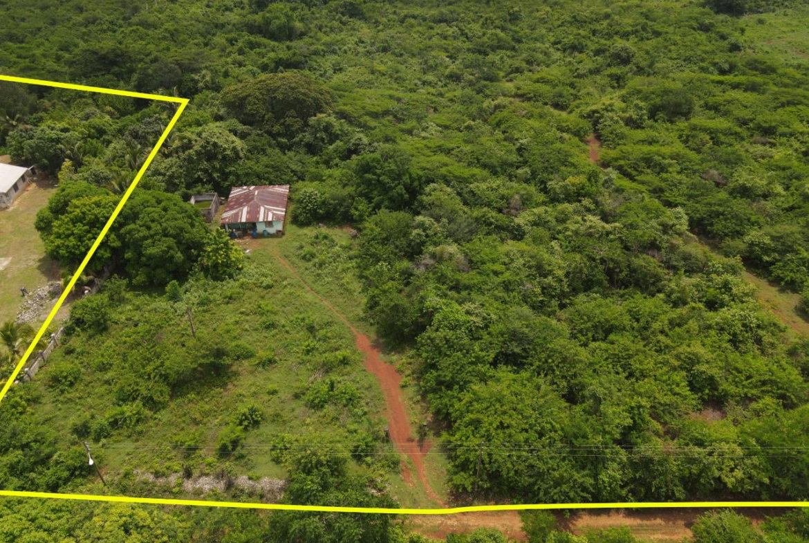 Third image of Denbigh in Denbigh, Clarendon, Jamaica - property is For Sale