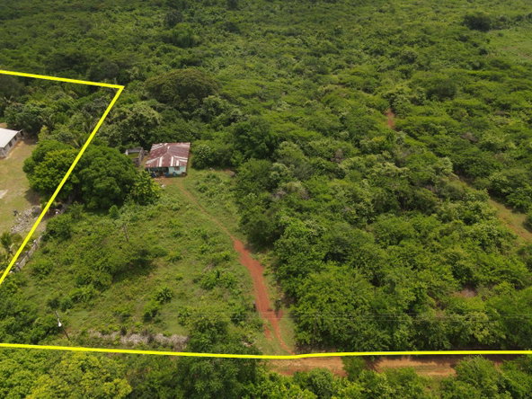 Third image of Denbigh in Denbigh, Clarendon, Jamaica - property is For Sale