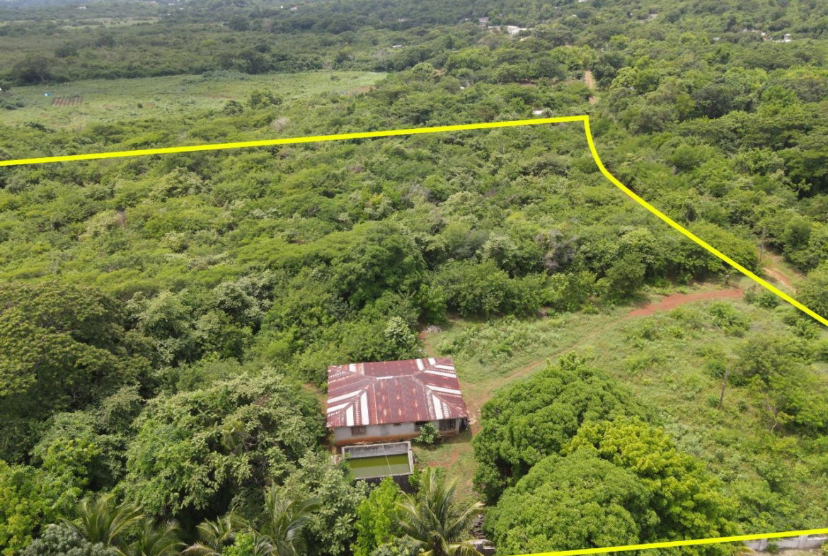 Fourth image of Denbigh in Denbigh, Clarendon, Jamaica - property is For Sale