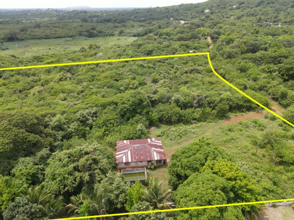 Fourth image of Denbigh in Denbigh, Clarendon, Jamaica - property is For Sale