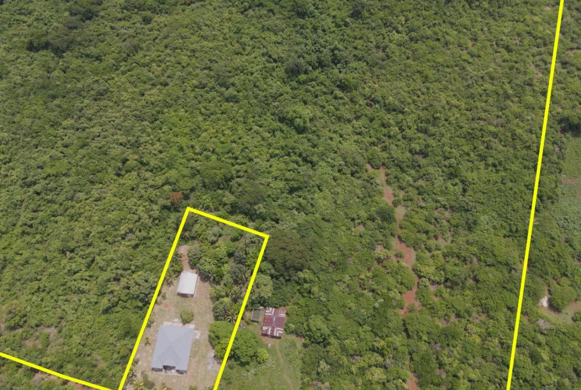 Fifth image of Denbigh in Denbigh, Clarendon, Jamaica - property is For Sale