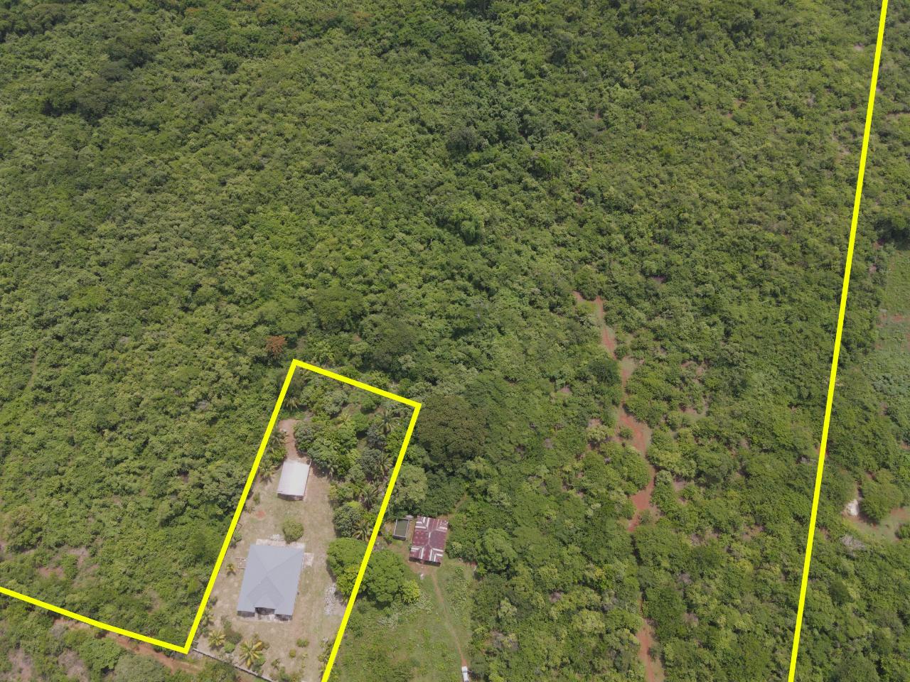 94-Acres-Development-Land-for-Sale-in-Denbigh-Clarendon-Jamaica Fifth image of Denbigh in Denbigh, Clarendon, Jamaica - property is For Sale